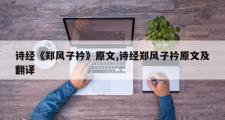 诗经《郑风子衿》原文,诗经郑风子衿原文及翻译