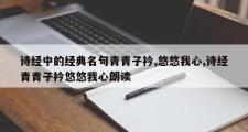 诗经中的经典名句青青子衿,悠悠我心,诗经青青子衿悠悠我心朗读