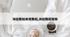 诗经舞蹈央视舞蹈,诗经舞蹈视频